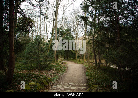 Un chemin à travers les bois dans le parc de Schönbrunn à Vienne, Autriche Banque D'Images