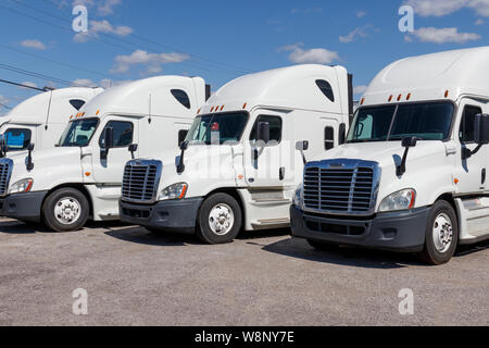 Ft. Wayne - Circa 2019 Août : semi remorque Tracteur Freightliner Trucks alignés pour vente VII Banque D'Images