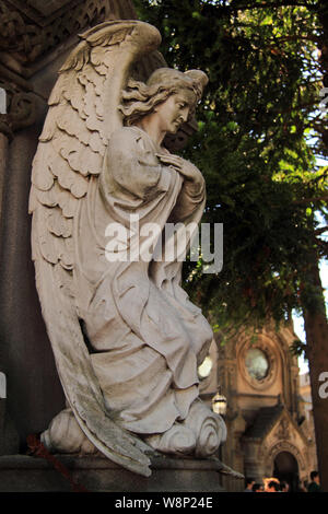 L'ancien cimetière de Recoleta, avec ses tombeaux, mausolées, et sculptures, est l'une des meilleures destinations touristiques à Buenos Aires, Argentine Banque D'Images