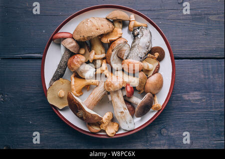 Divers champignons comestibles sur une plaque sur un fond rustique foncé. Vue d'en haut Banque D'Images