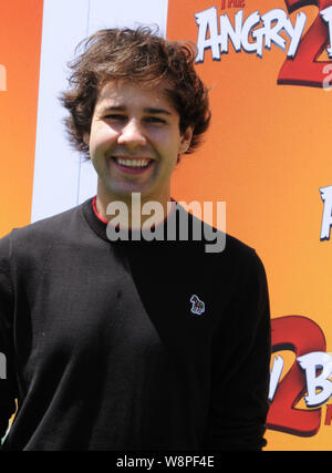 Los Angeles, Californie, USA 10 Août 2019 L'acteur David Dobrik assiste à Columbia Pictures présente la première mondiale de 'Les Angry Birds 2' le 10 août 2019 au Regency Village Theatre de Los Angeles, Californie, USA. Photo de Barry King/Alamy Live News Banque D'Images