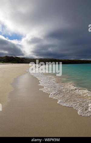 Plage des îles Galapagos Banque D'Images