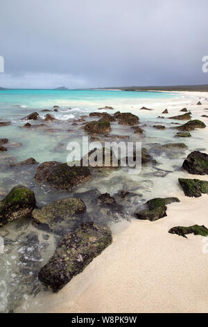 Plage des îles Galapagos Banque D'Images