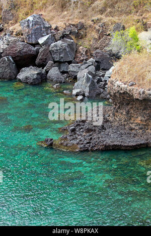 Plage des îles Galapagos Banque D'Images