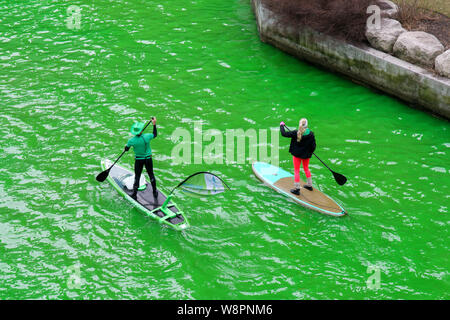 Stand Up Paddle boarders sur la rivière Chicago teint en vert pour la Saint-Patrick. Banque D'Images