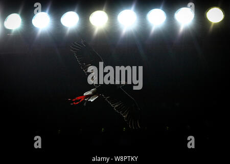 Lisbonne, Portugal. 10 août, 2019. Le SL Benfica eagle en action au cours de la Ligue n° 2019-2020 footballl match entre SL Benfica vs FC Paços de Ferreira.(score final : SL Benfica 5 - 0 FC Paços de Ferreira) Credit : SOPA/Alamy Images Limited Live News Banque D'Images