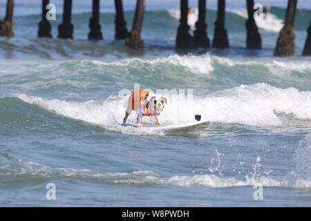 Imperial Beach, Californie, USA. 10 août, 2019. Rothstein, avec un sourire. Crédit : Ben Nichols/Alamy Live News Banque D'Images