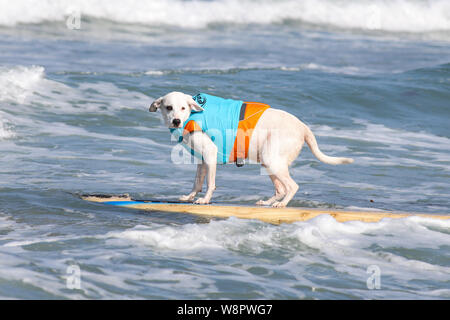 Imperial Beach, Californie, USA. 10 août, 2019. Samson rides fakie. Crédit : Ben Nichols/Alamy Live News Banque D'Images