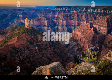 Lever du soleil au point de l'Imperial North Rim du Grand Canyon National Park, Arizona Banque D'Images