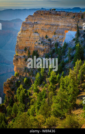 Anges sur la rive nord du Grand Canyon, Arizona ..... Le Grand Canyon est un canyon aux flancs abrupts sculptés par le fleuve Colorado dans l'état o Banque D'Images