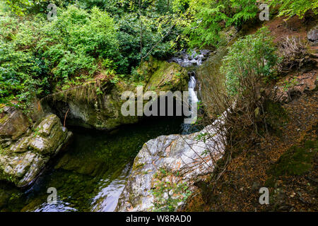 Les arbres, les lacs et les ruisseaux de Tollymore Forest Park, Irlande Banque D'Images