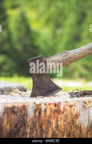 Vieille ax attaché à un tronc d'arbre, alpine hut Banque D'Images