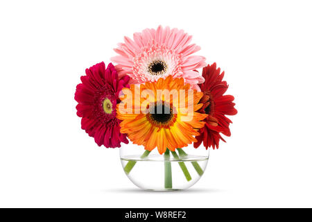 Bouquet de fleurs colorées en gerber vase en verre ronde, isolé sur blanc. Banque D'Images