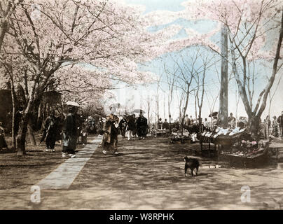 [ 1890 - Japon Sakura au parc Ueno, Tokyo ] - Fleur de cerisier, au parc d'Ueno à Tokyo. Cette image a été publiée en 1895 (28) par Meiji Kazumasa Ogawa dans des scènes de l'Est de la capitale du Japon. 19e siècle phototypie vintage print. Banque D'Images