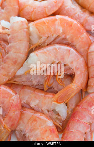 Une grande image de crevettes Crevettes Homard Bouilli rose sans tête en plein écran. Peut être utilisé pour les affiches, annonces, boutique de fruits de mer, recettes signalisation mauvais Banque D'Images