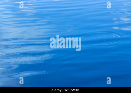 Des cercles sur l'eau, les taches des gouttelettes tomber dans l'eau. Réservoir naturel lac étang avec des cercles sur l'eau. La surface de l'eau bleue Banque D'Images