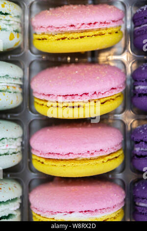 Macarons français gamme dessert jaune lilas avec boîtier en plastique. Macarons sucrés biscuits pour le thé. Macaron bicolore avec de la crème au milieu. Appetiz Banque D'Images