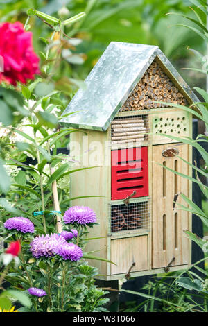 Garden bug et abeille hôtel pour les insectes bénéfiques, parmi les fleurs, aster, rose Banque D'Images