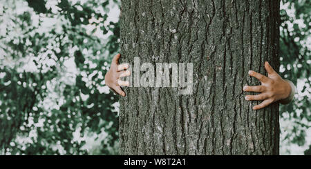 Kid's hands hugging tree. Enfant en parc. Sauver la planète concept avec copyspace Banque D'Images