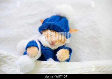 Bébé chat dans chandail tricoté et hat. Chaton nouveau-né gingembre dormir sous une couverture de laine. Journée d'hiver douillet avec l'animal à la maison. La sieste. Costum Noël Banque D'Images