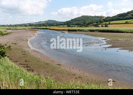 Seaton, Devon, Angleterre, Royaume-Uni. La Hache de la rivière à marée basse à Axmouth, près de Seaton. Banque D'Images