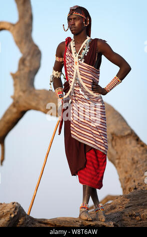 Guerrier massaï avec coiffe traditionnelle et collier en Loitoktok, au Kenya. Banque D'Images