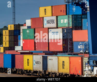 Fret ferroviaire Royaume-Uni - conteneurs intermodaux chargés sur les trains de marchandises du port Felixstowe, le plus grand port de conteneurs du Royaume-Uni. Banque D'Images