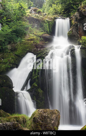 Les cascades de Triberg en Forêt-Noire. Banque D'Images