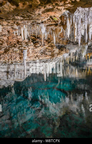 Crystal Cave Bermudes - attraction touristique à Hamilton Bermudes - de l'eau claire comme du cristal et lac souterrain - stalactites et stalagmites de calcaire Banque D'Images