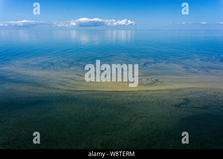 Brun et vert floraison de plancton dans la mer Baltique Banque D'Images