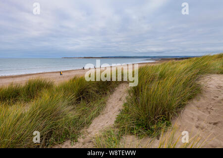 Les gens à pied sur la plage de Instow, dans le Devon (Angleterre) sur un jour nuageux. Il y a des dunes de sable de péché l'avant-plan. Banque D'Images