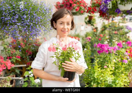 Heureux jeune fleuriste ou travailleur à effet avec les pétunias en pot Banque D'Images