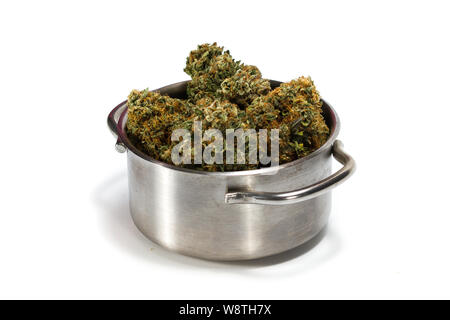 Bourgeons de marijuana dans un pot en acier inoxydable sur un fond blanc Banque D'Images