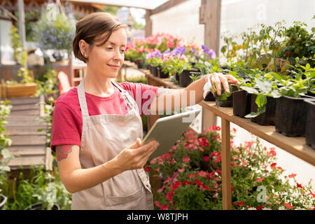 Jeune femme avec surface tactile article par rangée de plants en pots vert Banque D'Images
