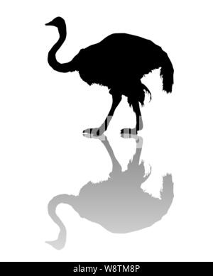 Silhouette vecteur d'une autruche sur fond blanc Illustration de Vecteur
