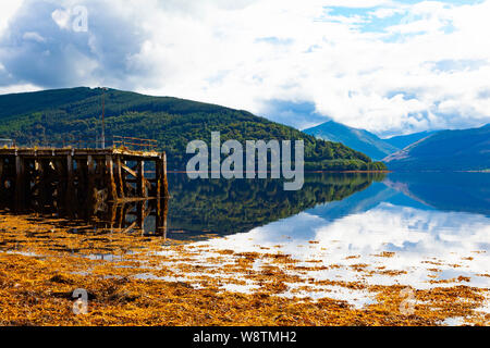 Le Loch Fyne, ARGYLL & BUTE, dans l'ouest de l'Ecosse, Inveraray, avec les montagnes et le ciel reflète dans l'eau. L'Ascophyllum nodosum sur l'Estran Banque D'Images