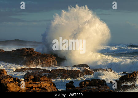 Seascape avec grande déferlante sur les rochers côtiers, Afrique du Sud Banque D'Images