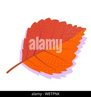 Feuille de bouleau vecteur Orange avec l'ombre, isolé sur fond blanc. Seule la feuille d'automne. Illustration de Vecteur