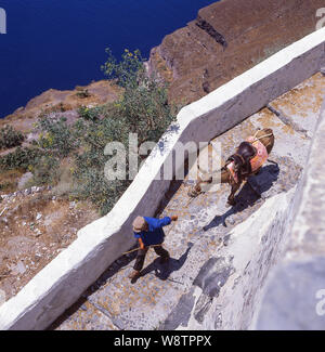 Homme avec un âne sur la voie de l'ancien port de Fira à ville de Fira, Santorini, Cyclades, Mer Égée, Grèce Région Sud Banque D'Images