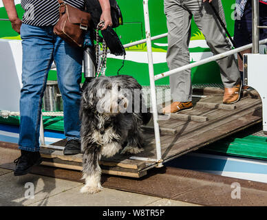 Cette ancienne résidence de la règles prussien est une ville de palais et jardins en un style qui a même donné son propre nom : Rococo Potsdam. Banque D'Images
