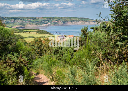 05/08/2019 Robin Hoods Bay, North Yorkshire, Uk en marchant le long du sentier de grande randonnée de la Cleveland Way entre Bude et Robin Hoods Bay Banque D'Images