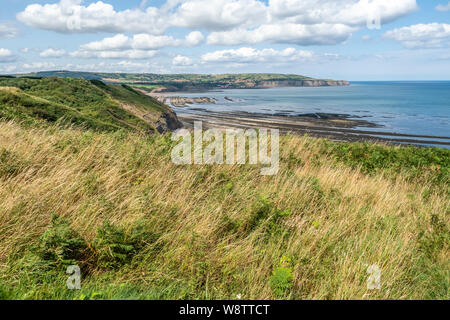 05/08/2019 Robin Hoods Bay, North Yorkshire, Uk en marchant le long du sentier de grande randonnée de la Cleveland Way entre Bude et Robin Hoods Bay Banque D'Images