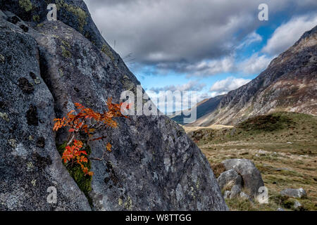 Vue sur la montagne de Llyn Ogwen salon en Galles, UK Banque D'Images