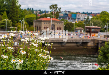 Une vue de Ballard Locks à Seattle, Washington Banque D'Images