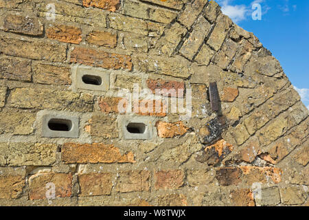 Nidification Swift dans mur de briques cottage, Cambridgeshire, Angleterre Banque D'Images