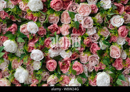 Roses rose et blanc affichées sur un bord vertical. Banque D'Images