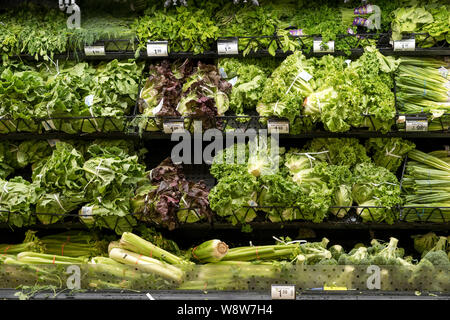 Légumes frais sur étagère dans un supermarché Banque D'Images