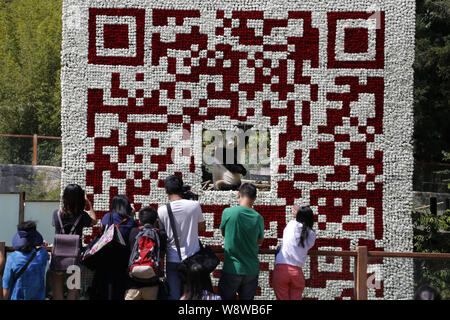 Les visiteurs de prendre des photos de panda géant Sijia posant dans le QR code géant au parc Safari à Yunnan Kunming city, au sud-ouest de la province de Yunnan, Chine 19 mai Banque D'Images