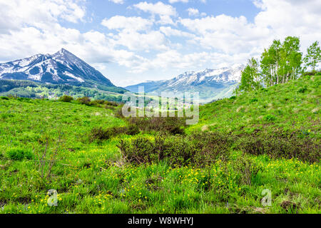 Crested Butte, Colorado mountain view on Snodgrass hiking trail in summer in Rocky Mountains with Yellow Marsh Marigold or Shrubby Cinquefoil Flowers Banque D'Images
