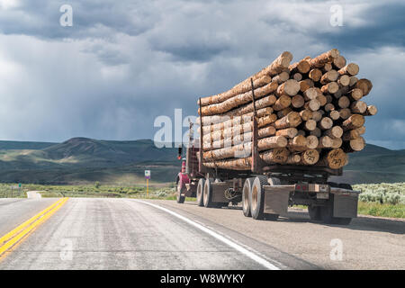 Gunnison, États-Unis - 20 juin 2019 : camion livrant du bois d'œuvre sur la route de l'autoroute, le jour de tempête nuageux près de Sillsville, Colorado Banque D'Images